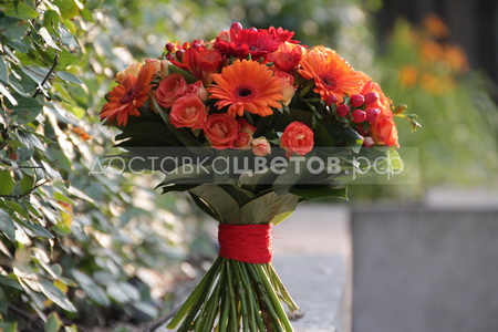 Букет из оранжевых гермини и кустовой розы "Закат"
